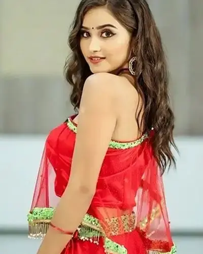 Escort In Bhilwara